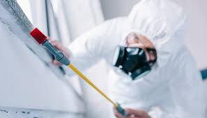 Emergency Pest Control Services in Newburgh Heights, OH